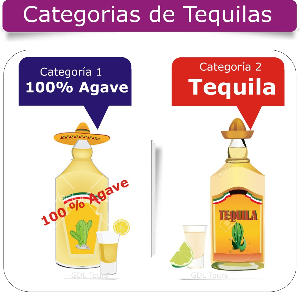 Categorias o Tipos de Tequila