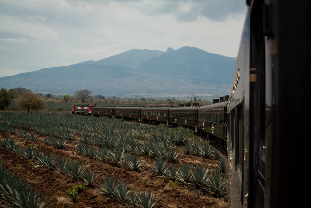 tren Guadalajara Tequila