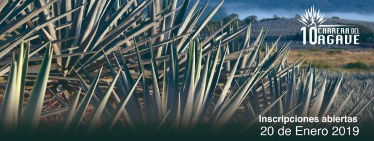 carrera-agave-inscripciones