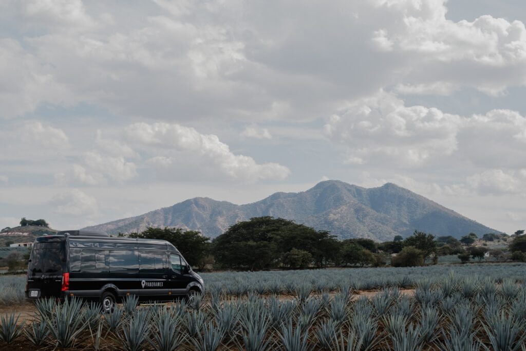 Paisaje Agavero en Tequila Jalisco Mexico