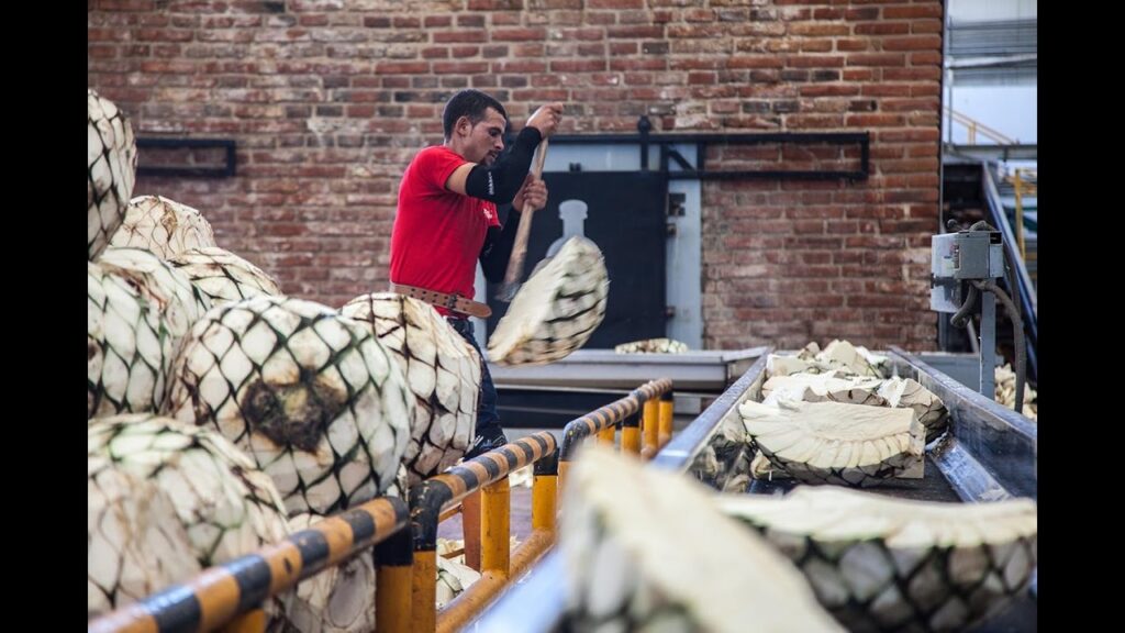 Tequila Don Julio Los Altos del Tequila