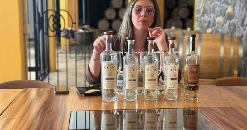 Cómo saber si un tequila es realmente bueno