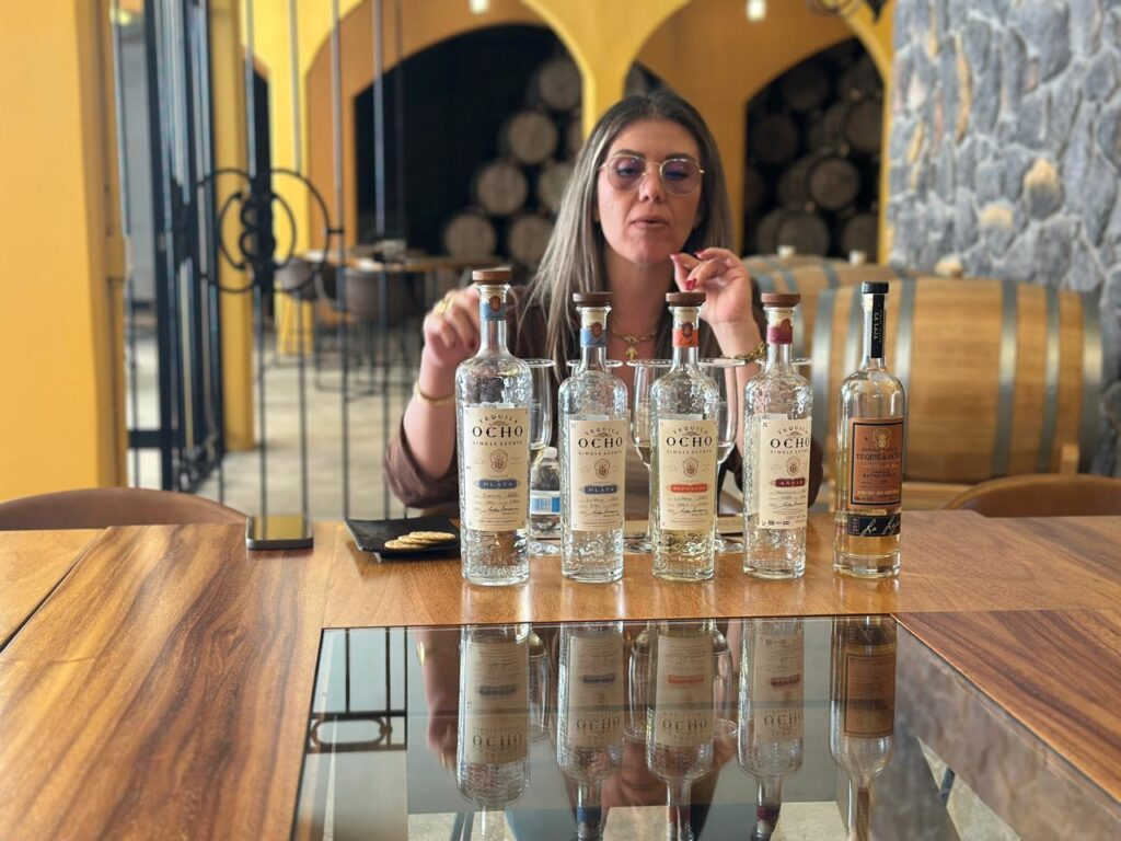 Cata de Tequilas Artesanales