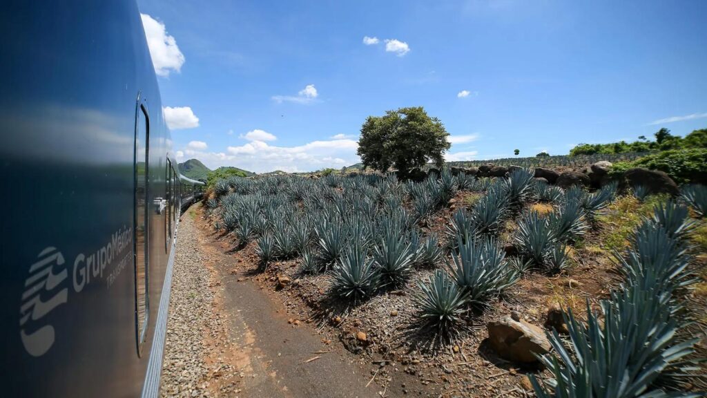 ¿Cómo llegar a Tequila en Tren?
