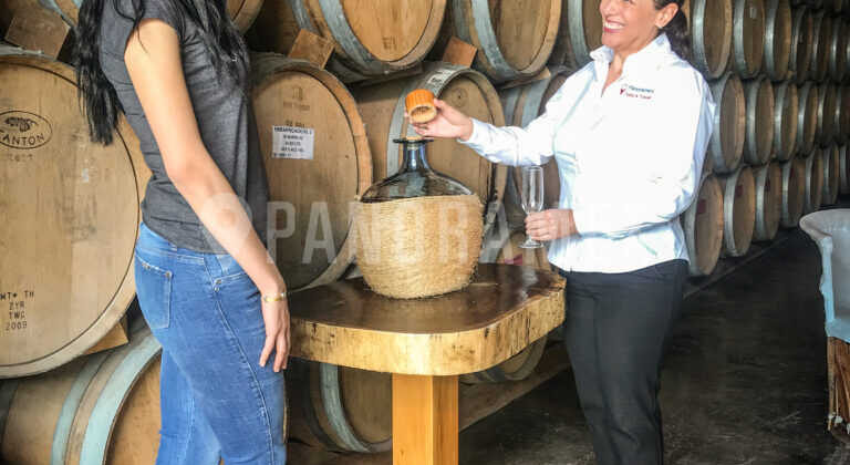 Los 15 Tequilas Artesanales Más Reconocidos de México: Guía 2026