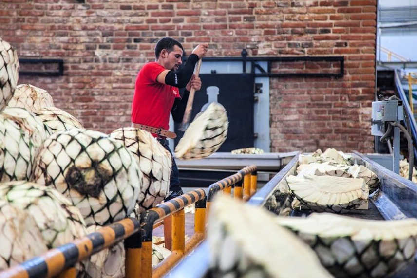 Tequila Artesanal o Tequila Industrial que diferencias