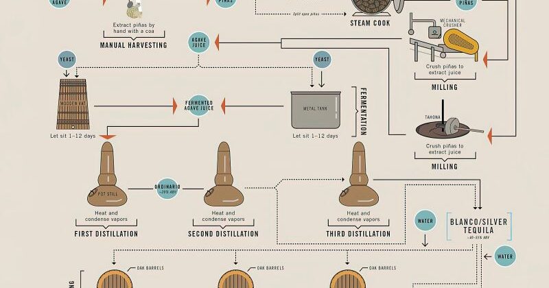 Tequila Industrial vs Tequila Artesanal