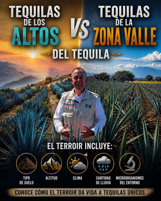 Tequila de los Altos de Jalisco VS Tequila Zona Valles de Jalisco México