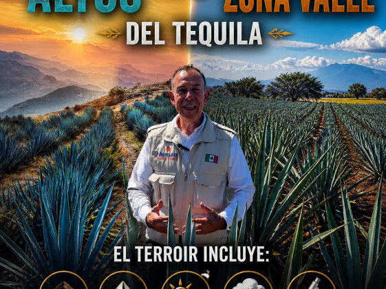 Tequila Los Altos vs La Zona Valles