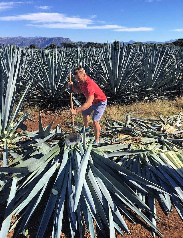Tequila Jalisco México Turistas haciendo la Jima