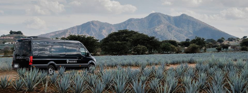 las mejores empresas Turisticas para visitar Tequila Jalisco Mexico